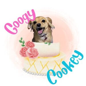 לוגו גוגי קוקי